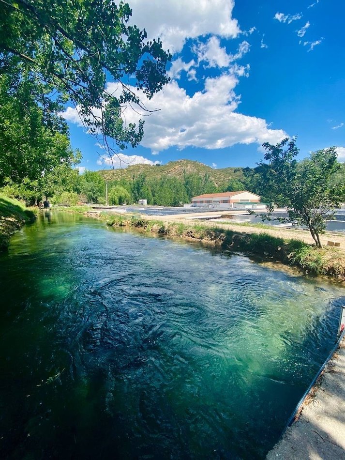 piscifactoria de caviar